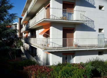 Image secondaire Le Bois